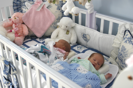 twins in crib